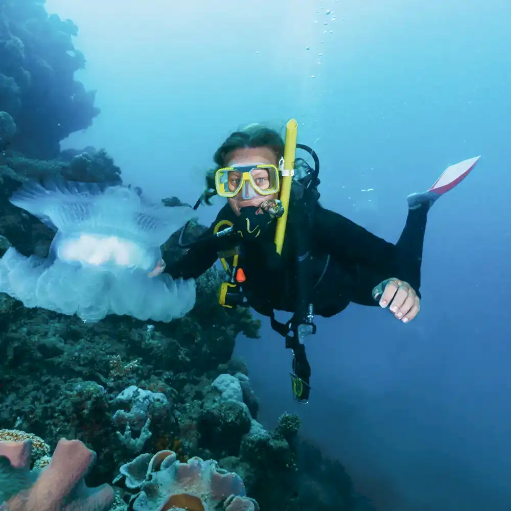 Fethiye Tüplü Dalış