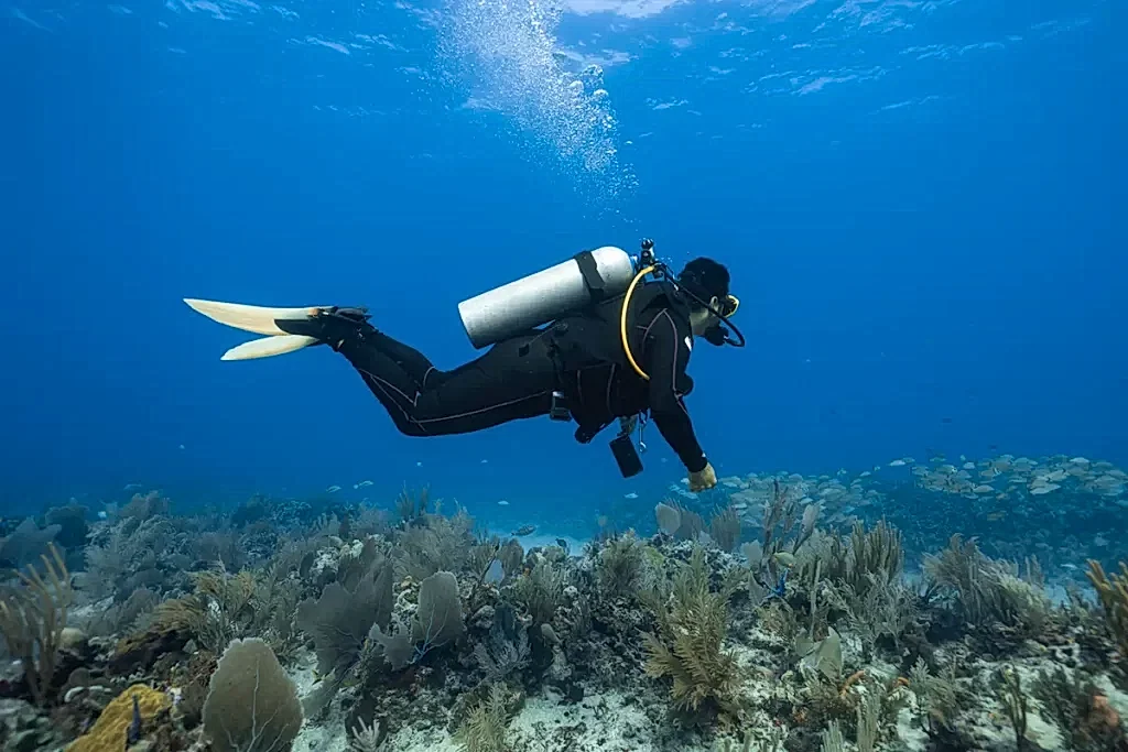 Fethiye Tüplü Dalış Fiyatları ve Firmaları