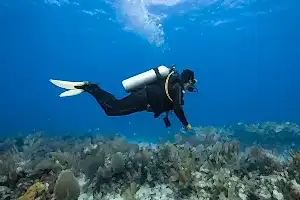 Picture of Fethiye Tüplü Dalış